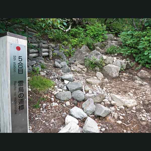 利尻島 利尻山 5合目