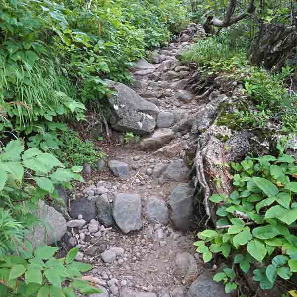 利尻島 利尻山 ルート