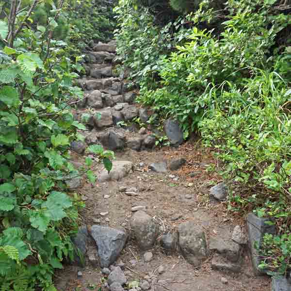 利尻島 利尻山 ルート