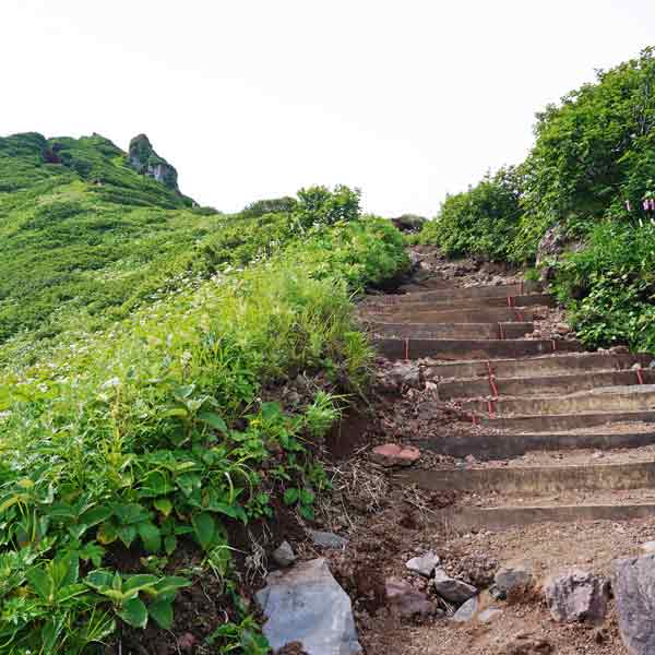 利尻島 利尻山 ルート