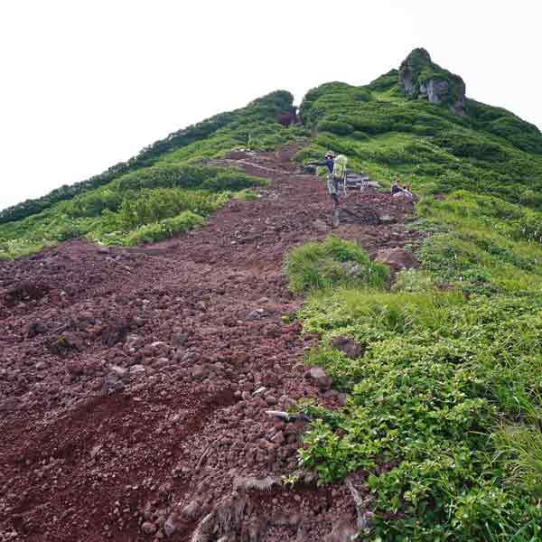 利尻島 利尻山 ルート