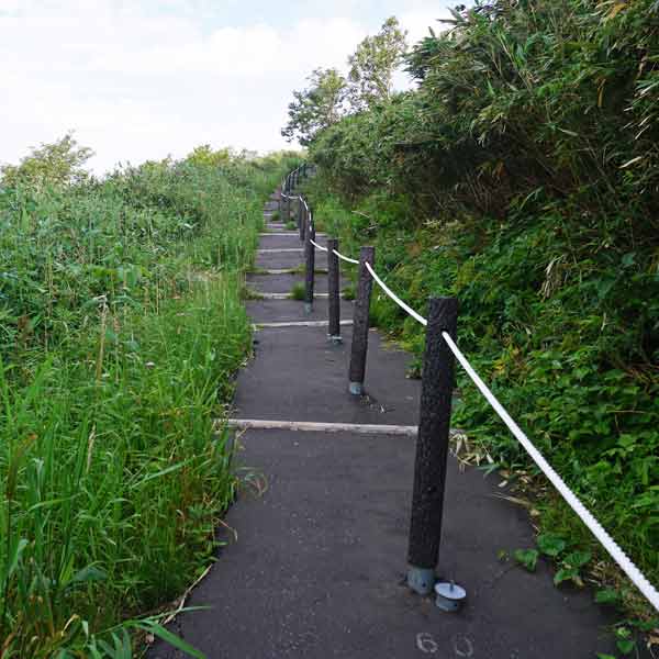 利尻島 見返台園地 ルート