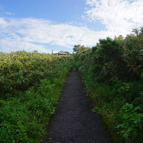 利尻島 見返台園地 ルート
