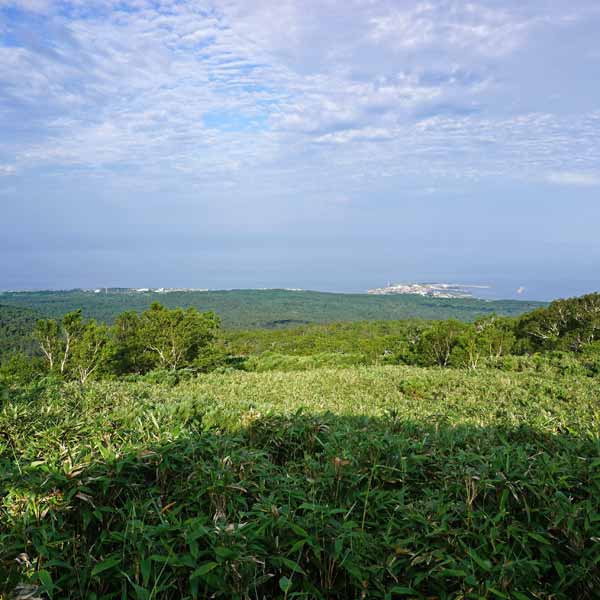 利尻島 見返台園地 沓形港