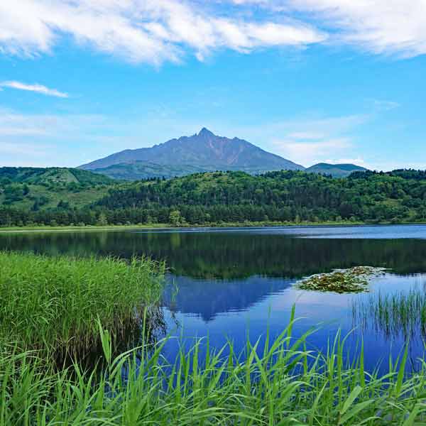 利尻島