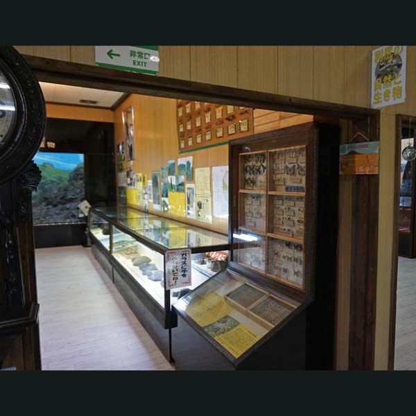 利尻島 郷土資料館 利尻の自然と生き物