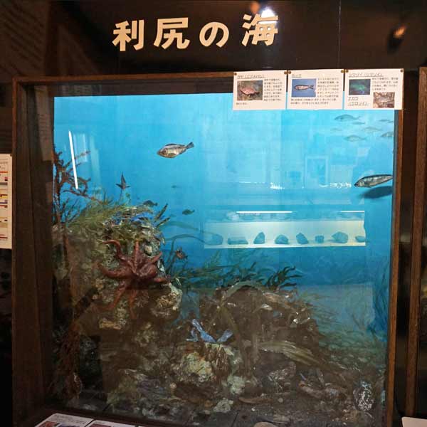 利尻島 郷土資料館 利尻の海