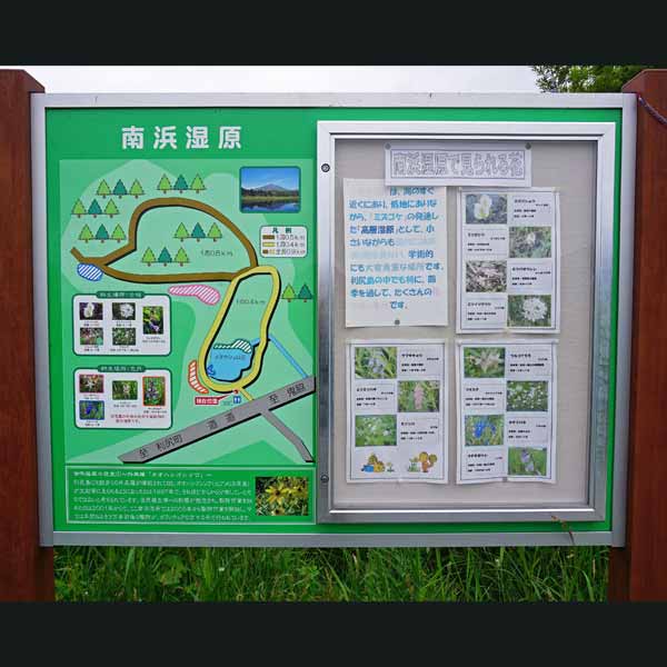 看板 南浜湿原について