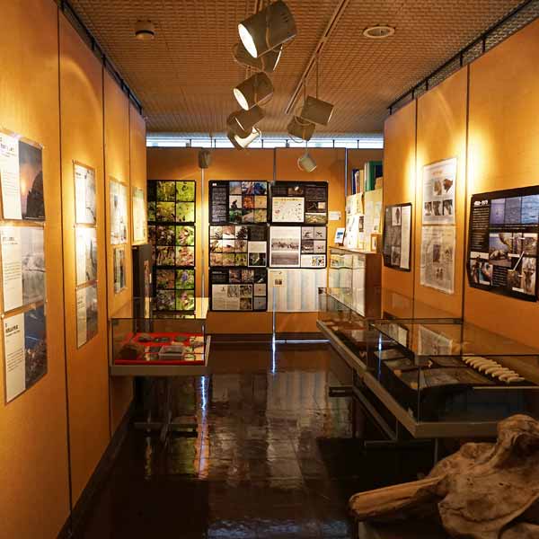 利尻島 利尻町立博物館 地上に関するコーナー