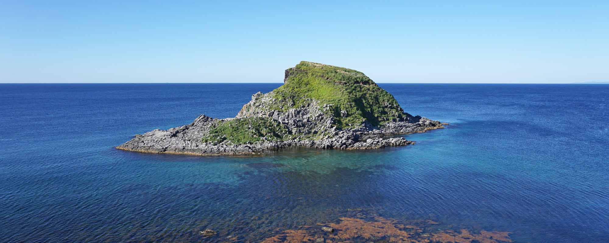 富士野園地