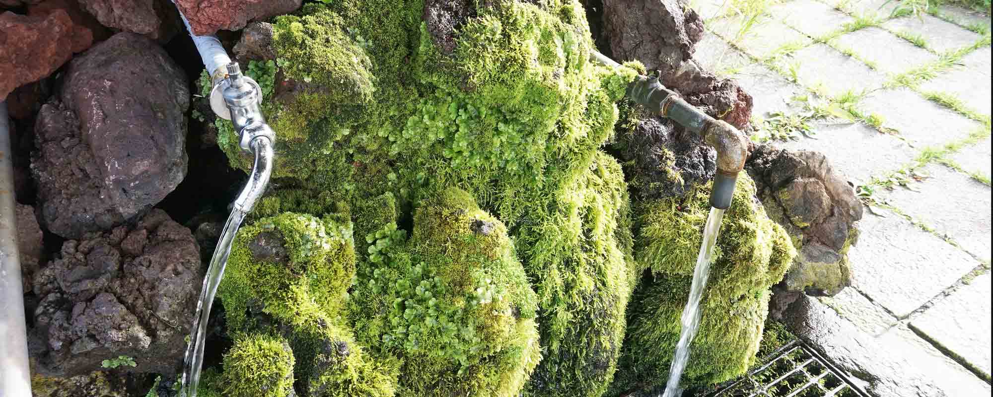 麗峰湧水