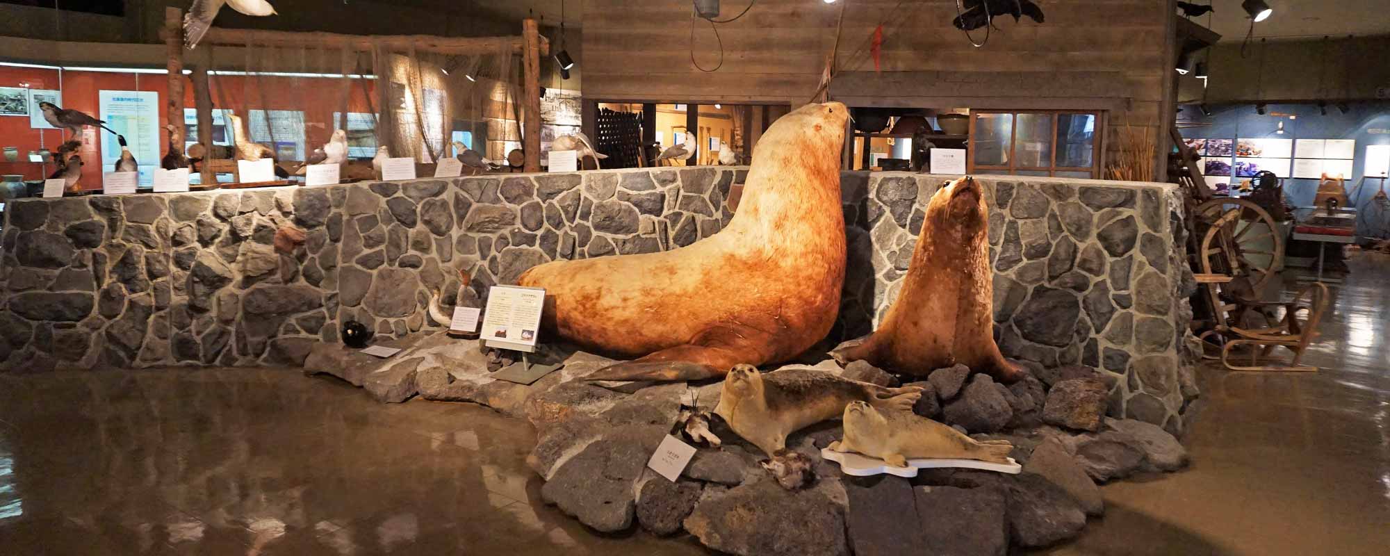 利尻町立博物館