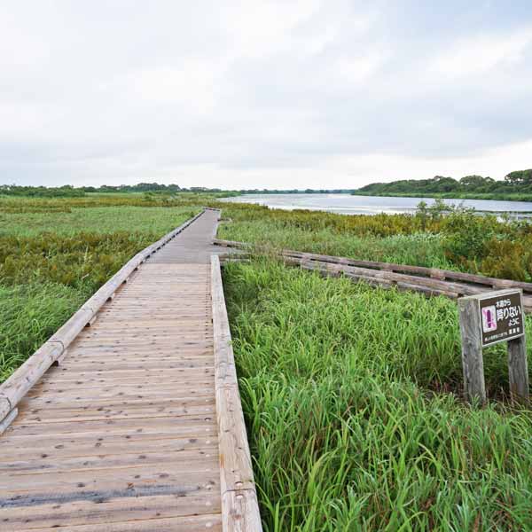 サロベツ湿原 下サロベツ原野園地 分岐