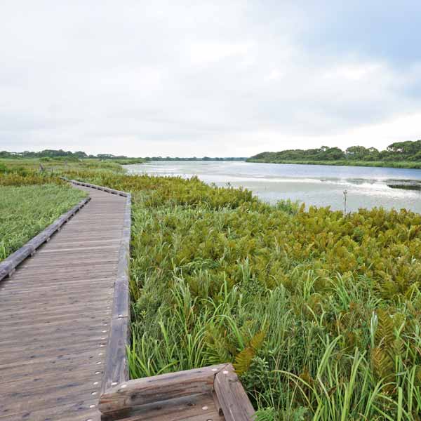 サロベツ湿原 下サロベツ原野園地