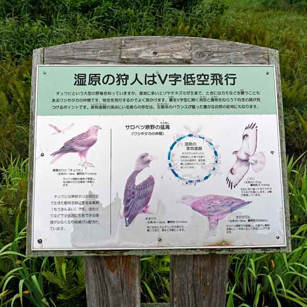 看板 湿原の狩人はV字低空飛行について