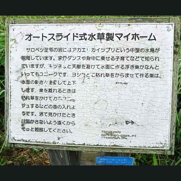 看板 オートスライド式水草製マイホームについて