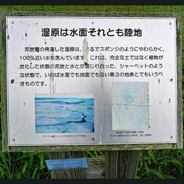 看板 湿原は水面それとも陸地について