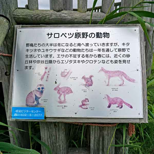 看板 サロベツ原野の動物について