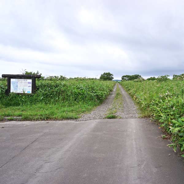 サロベツ湿原 パンケ沼園地 遊歩道