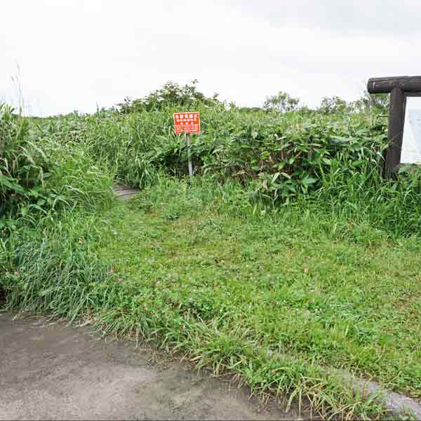 サロベツ湿原 パンケ沼園地 木道