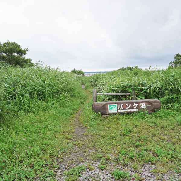 サロベツ湿原 パンケ沼園地 遊歩道
