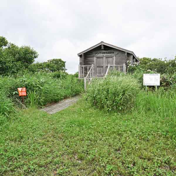 サロベツ湿原 パンケ沼園地 野鳥観察舎