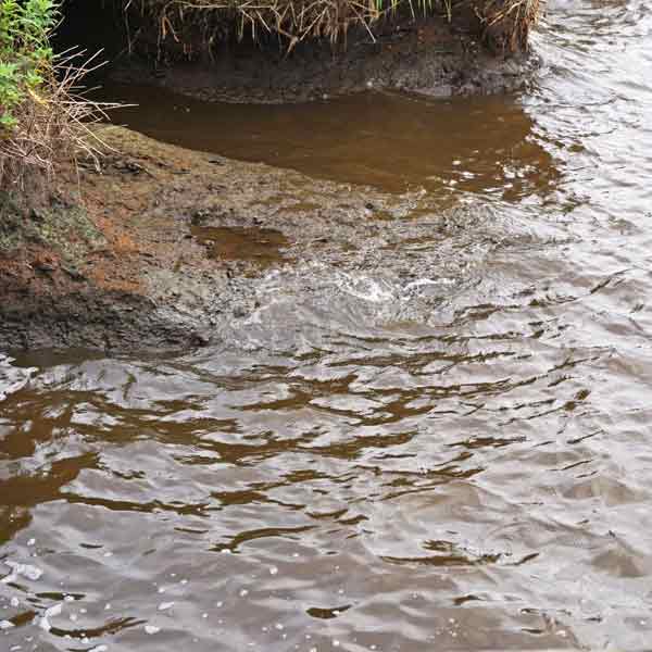 サロベツ湿原 パンケ沼園地 パンケ沼