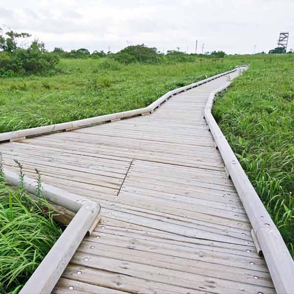 サロベツ湿原 下サロベツ原野園地 木道