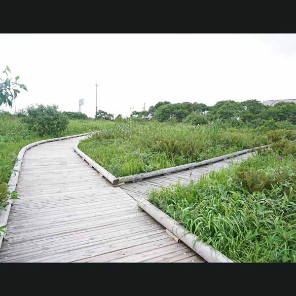 サロベツ湿原 下サロベツ原野園地 木道