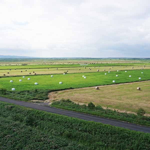 サロベツ湿原 下サロベツ原野園地 展望台