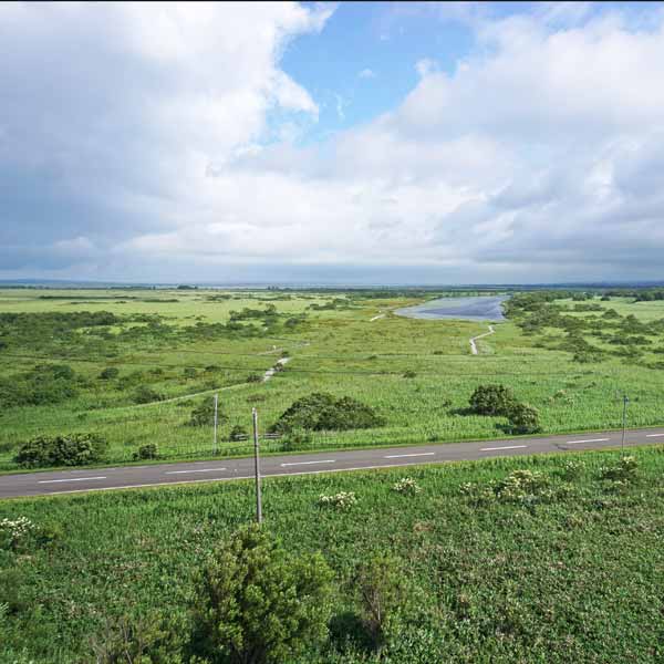 サロベツ湿原 下サロベツ原野園地 展望台