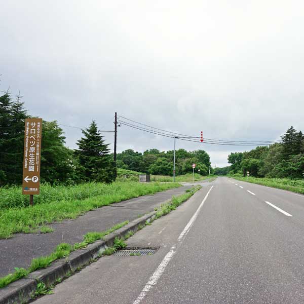 サロベツ湿原 サロベツ原生花園 サロベツ原生花園出入口