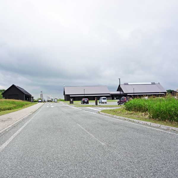 サロベツ湿原 サロベツ原生花園 サロベツ原生花園