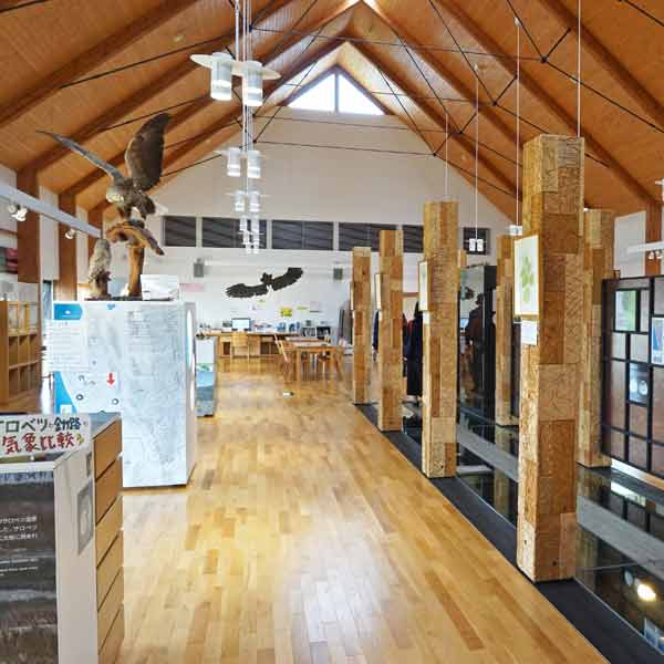 サロベツ湿原 サロベツ原生花園 サロベツ湿原センター