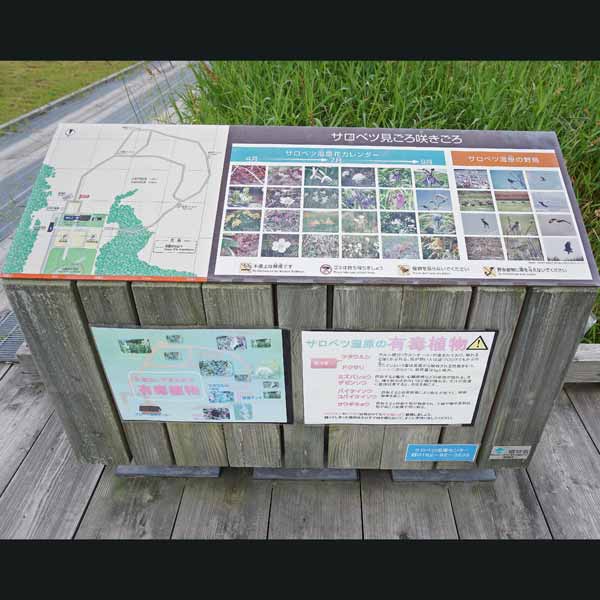 看板 サロベツ見ごろ咲きごろについて
