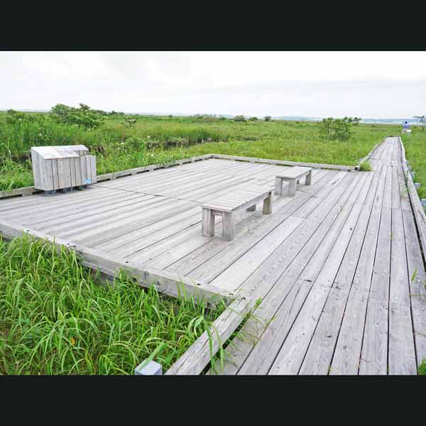 サロベツ湿原 サロベツ原生花園 休憩所