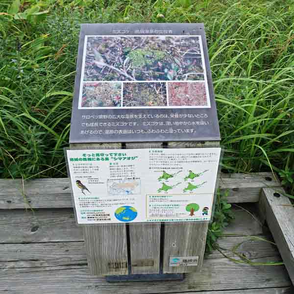 看板 ミズゴケについて