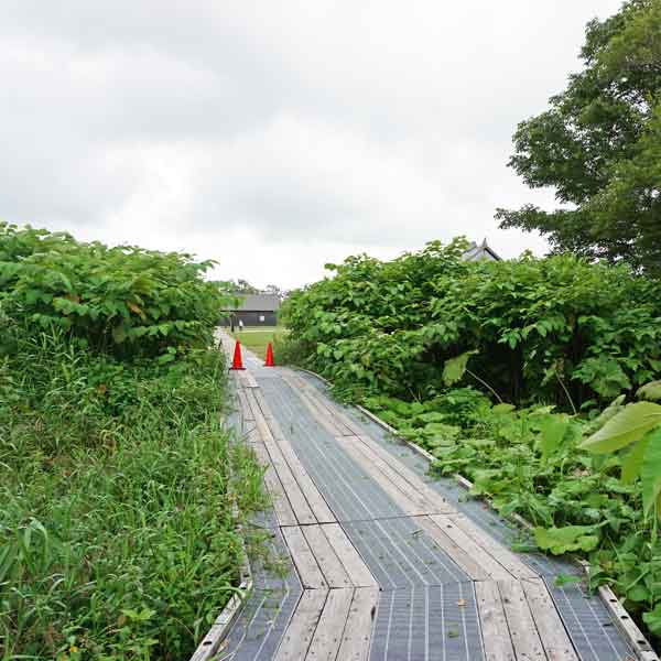 サロベツ湿原 サロベツ原生花園 木道出入口