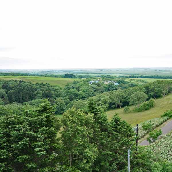 サロベツ湿原 宮の台展望台