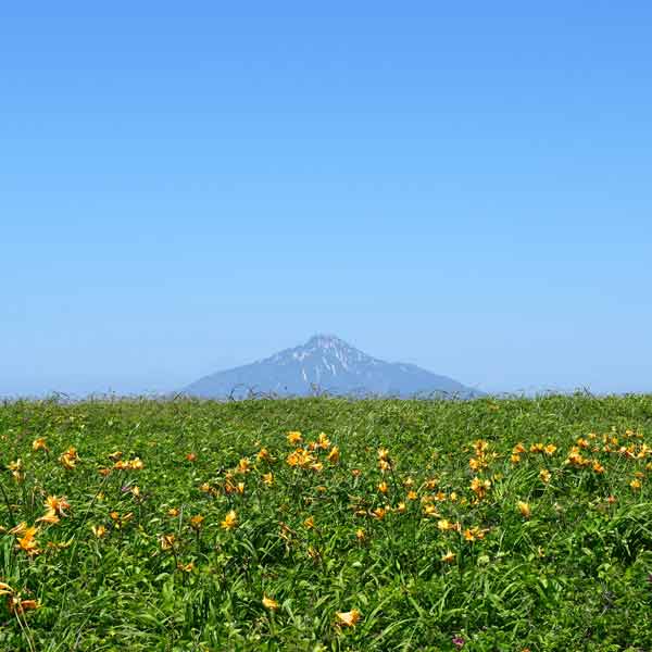 サロベツ湿原