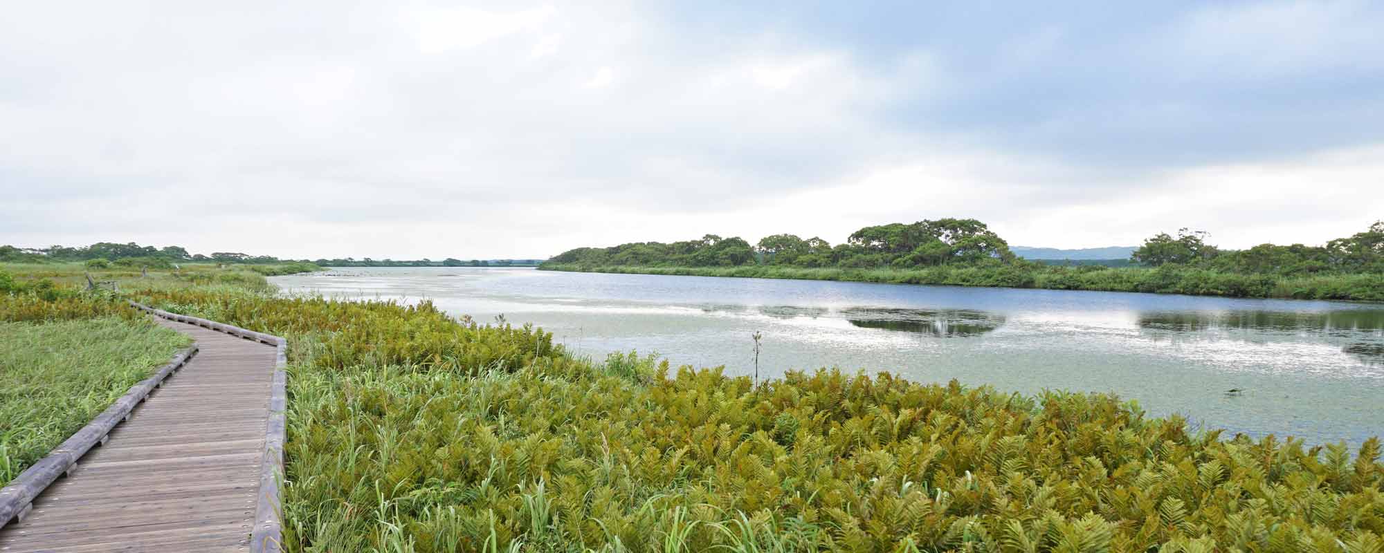 下サロベツ原野園地