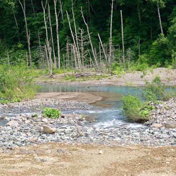 白金青い池 美瑛川