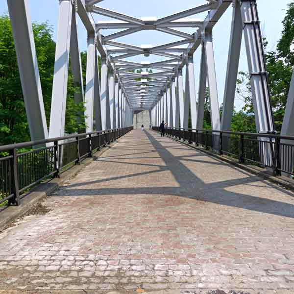 白ひげの滝 ブルーリバー橋