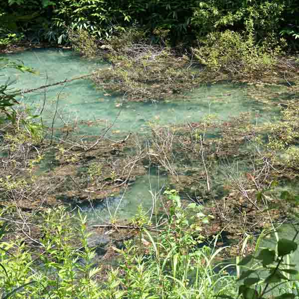 白金青い池