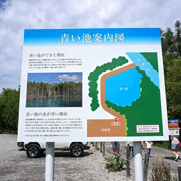 看板 青い池案内図