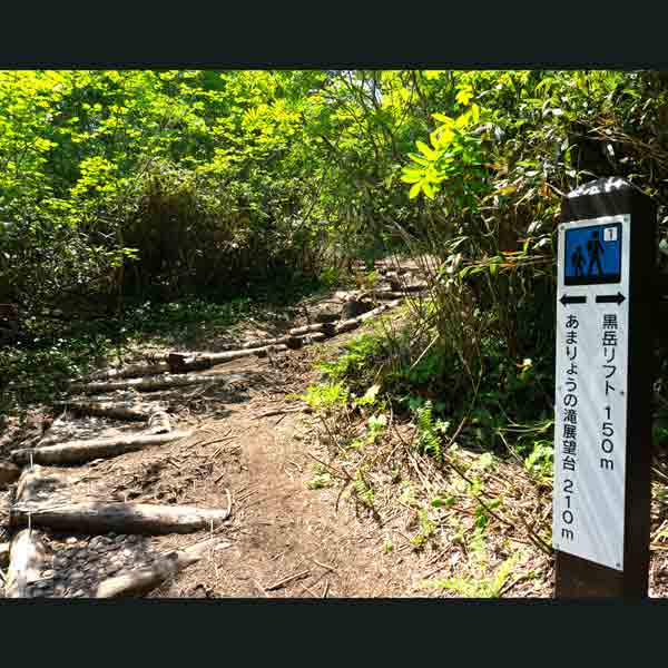 層雲峡 黒岳 登山道