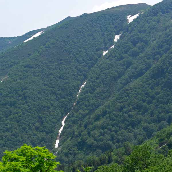 層雲峡 黒岳 あまりょうの滝