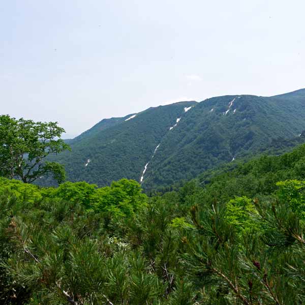 層雲峡 黒岳 あまりょうの滝
