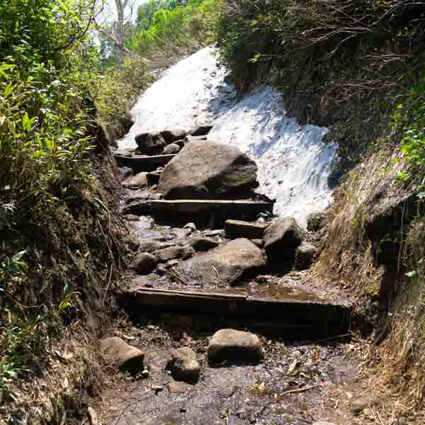 層雲峡 黒岳 登山道