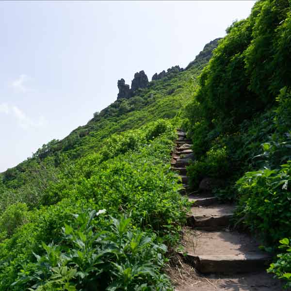 層雲峡 黒岳 登山道